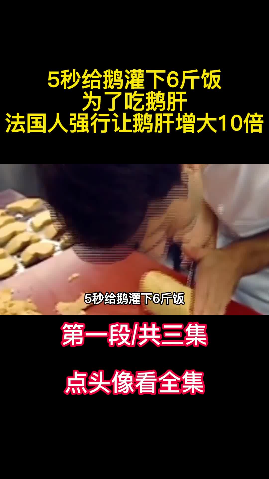 5秒给鹅灌下6斤饭为了吃鹅肝法国人强行让鹅肝增大10倍1