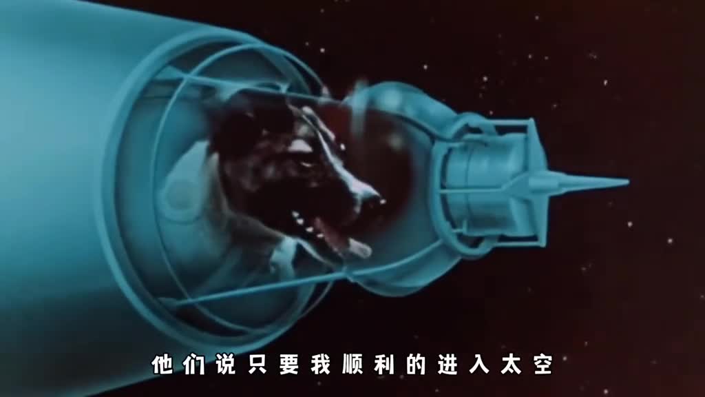 太空狗莱卡的一生究竟有多悲惨