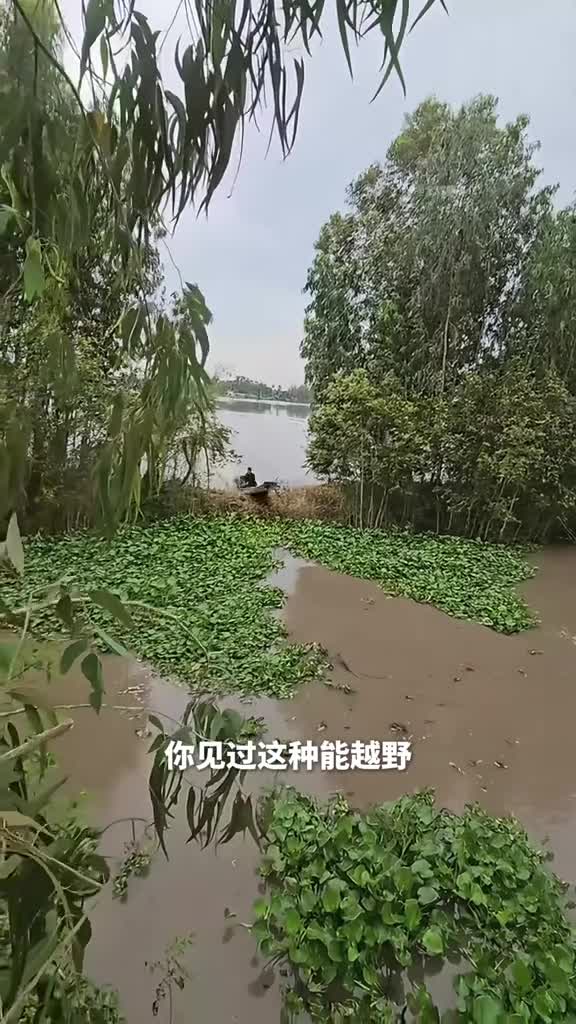 长尾船泰国乡村常见的长尾船原来还有这么多用途