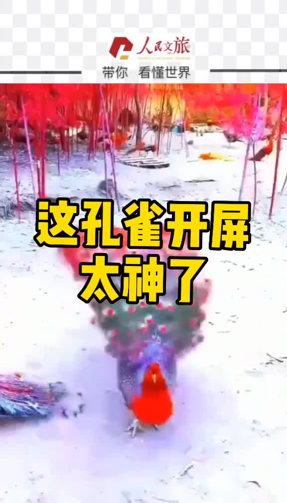 这