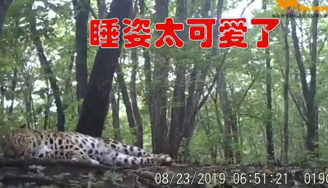 别叫我让我多睡会看我