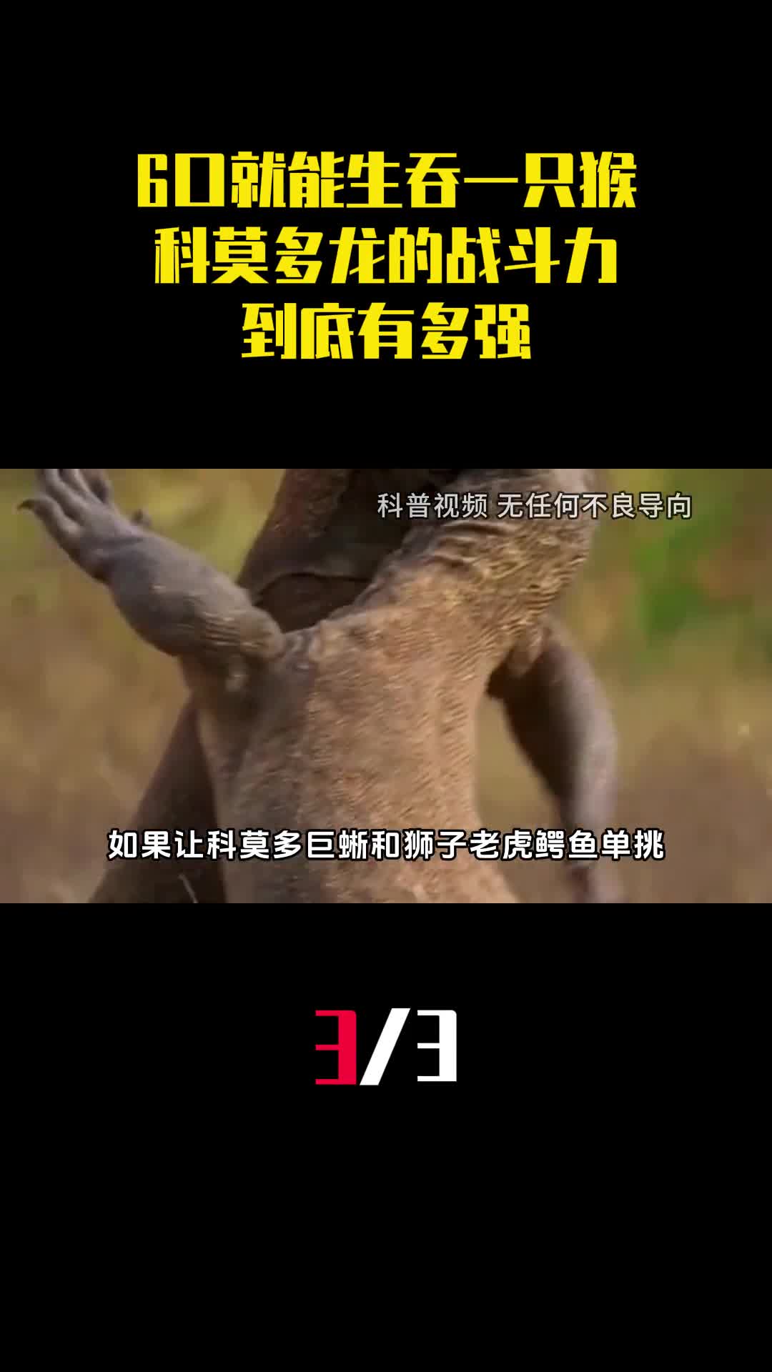 6口就能生吞一只猴科莫多龙的战斗力到底有多强3