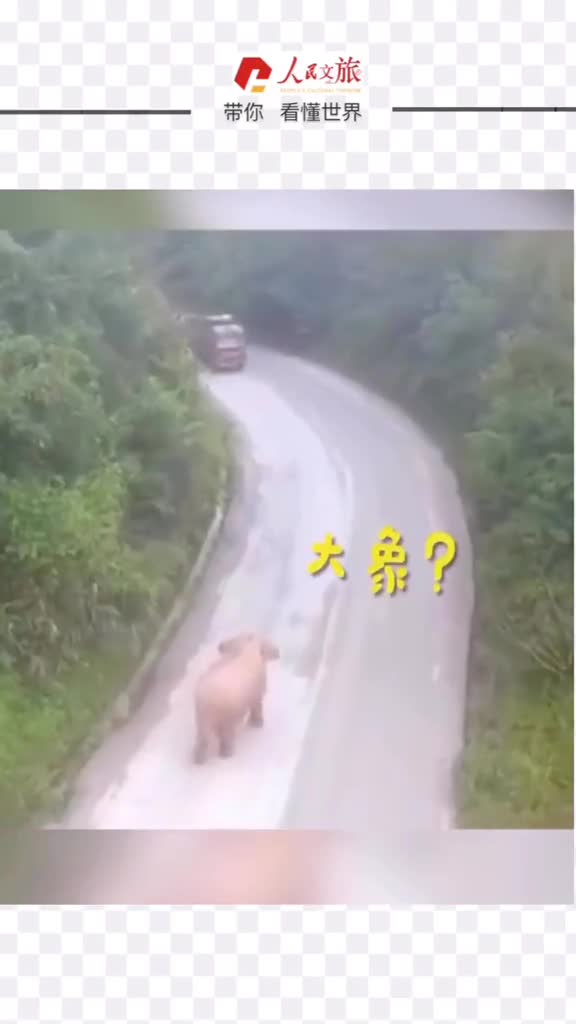 货车