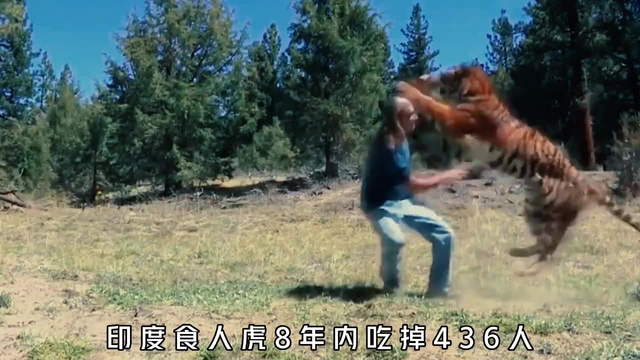 遇到老虎该如何自救跑跳河装死这三样等于送人头