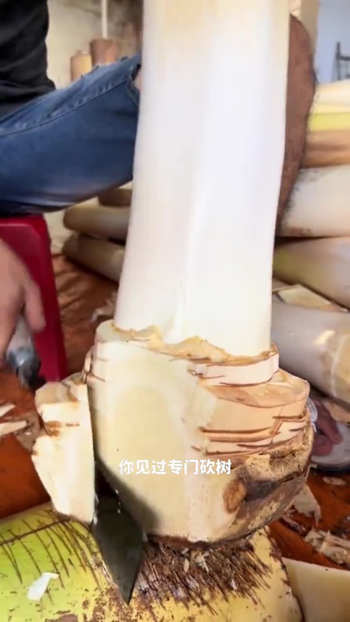你见过砍树吃心吗每棵椰子树只有这一小部分能吃