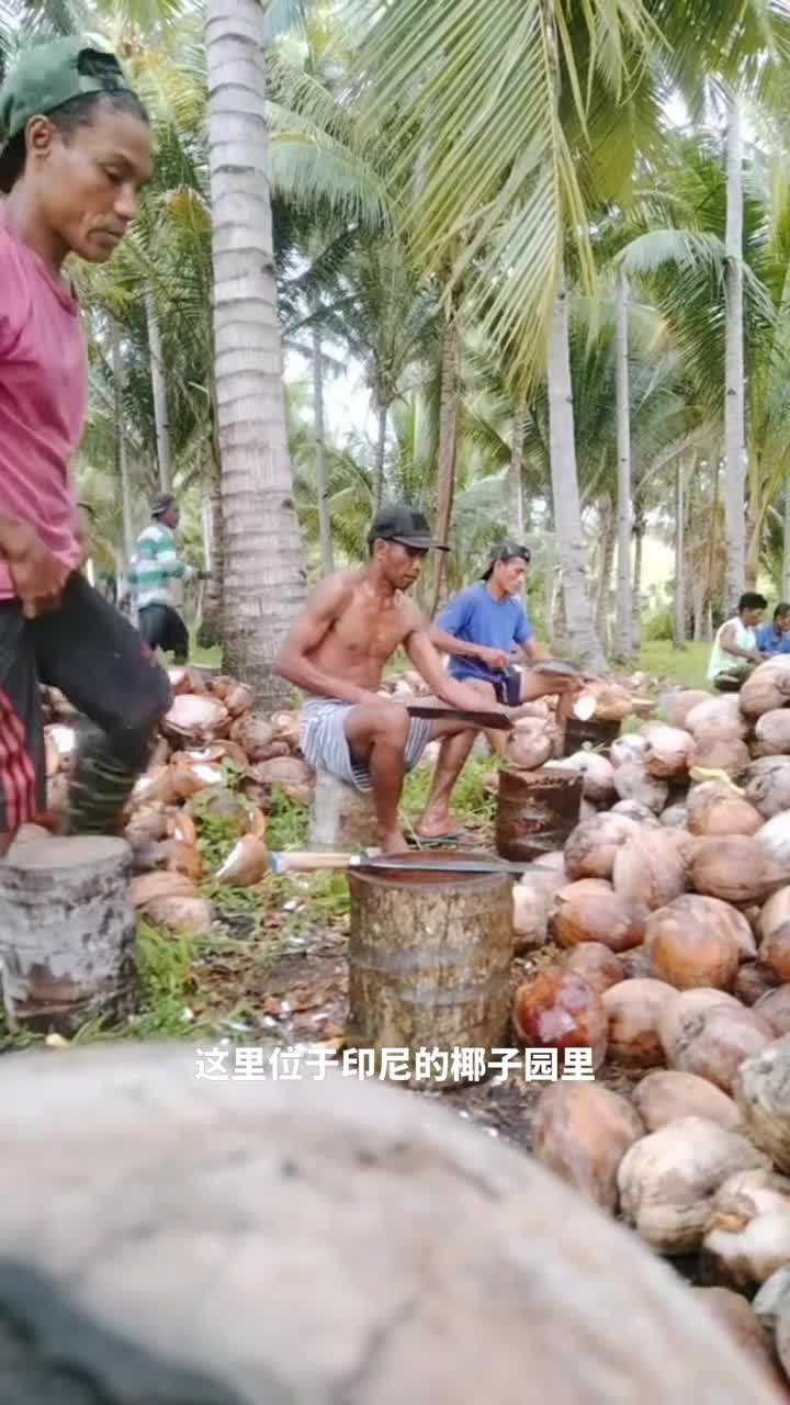 小哥手起刀落剖老椰原来他们开椰子只为取椰肉
