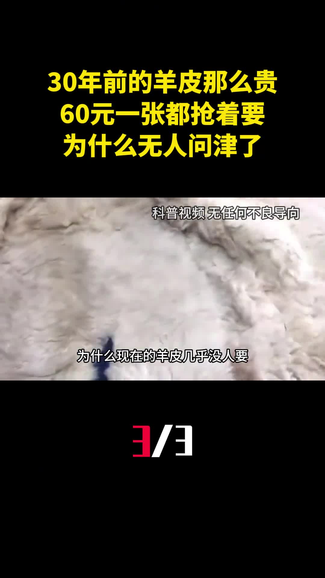 30年前的羊皮那么贵60元一张都抢着要为什么现在无人问津了3