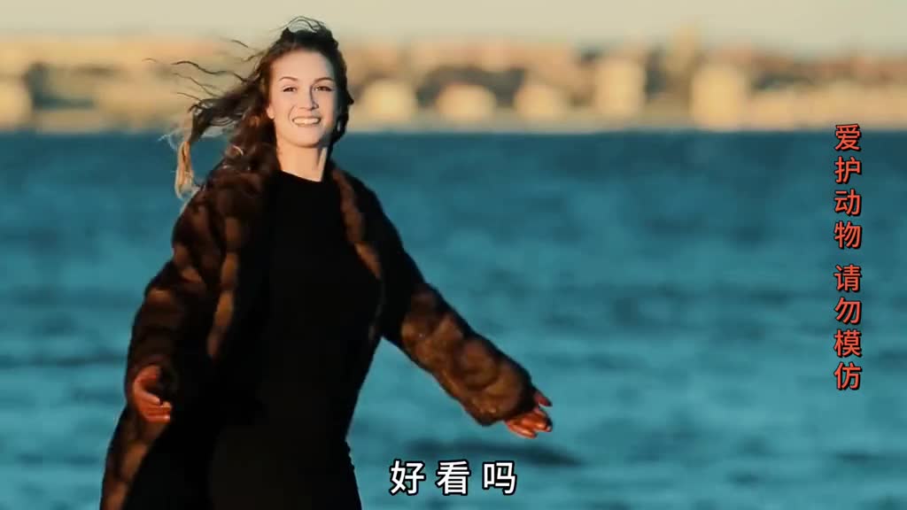 一年超10万头海豹被猎杀它们的一生究竟有多悲惨