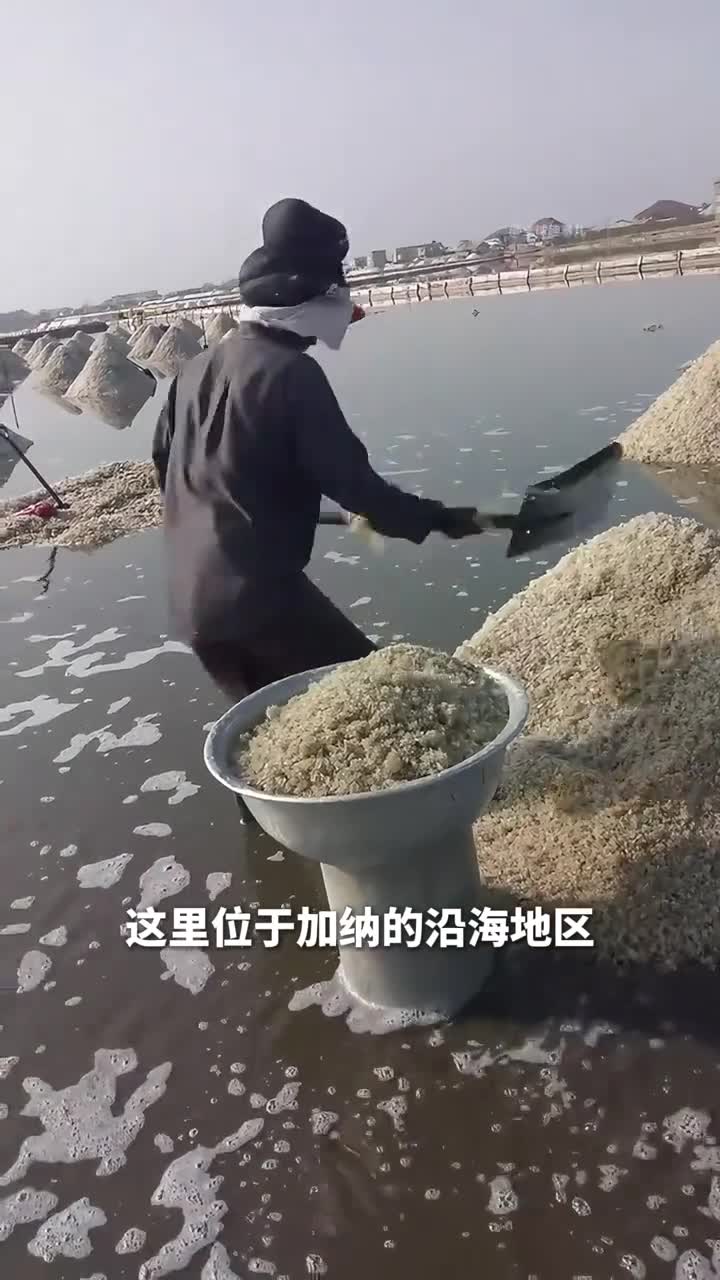 加纳的白色金山这些工人站在水里竟然是在收集海盐