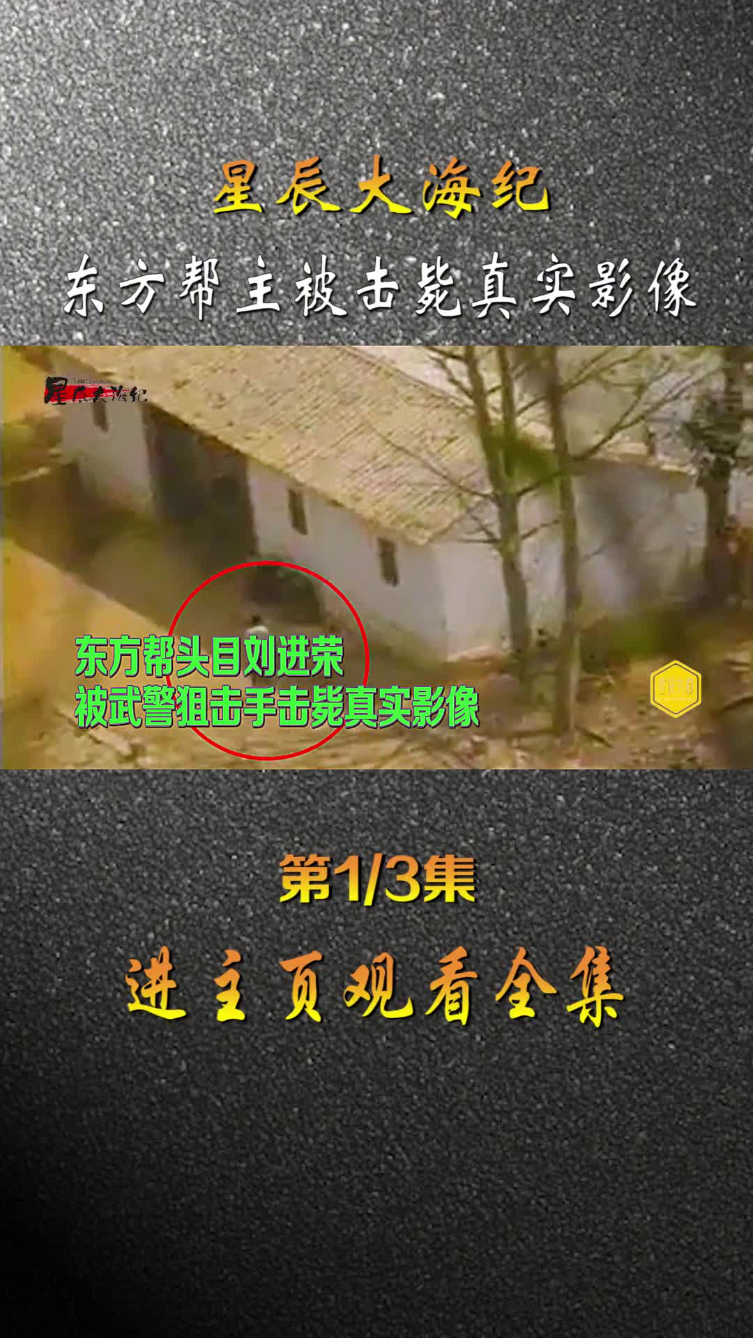 1993东方黑帮头目被武警击毙真实影像谁能想到曾经是越战侦察兵