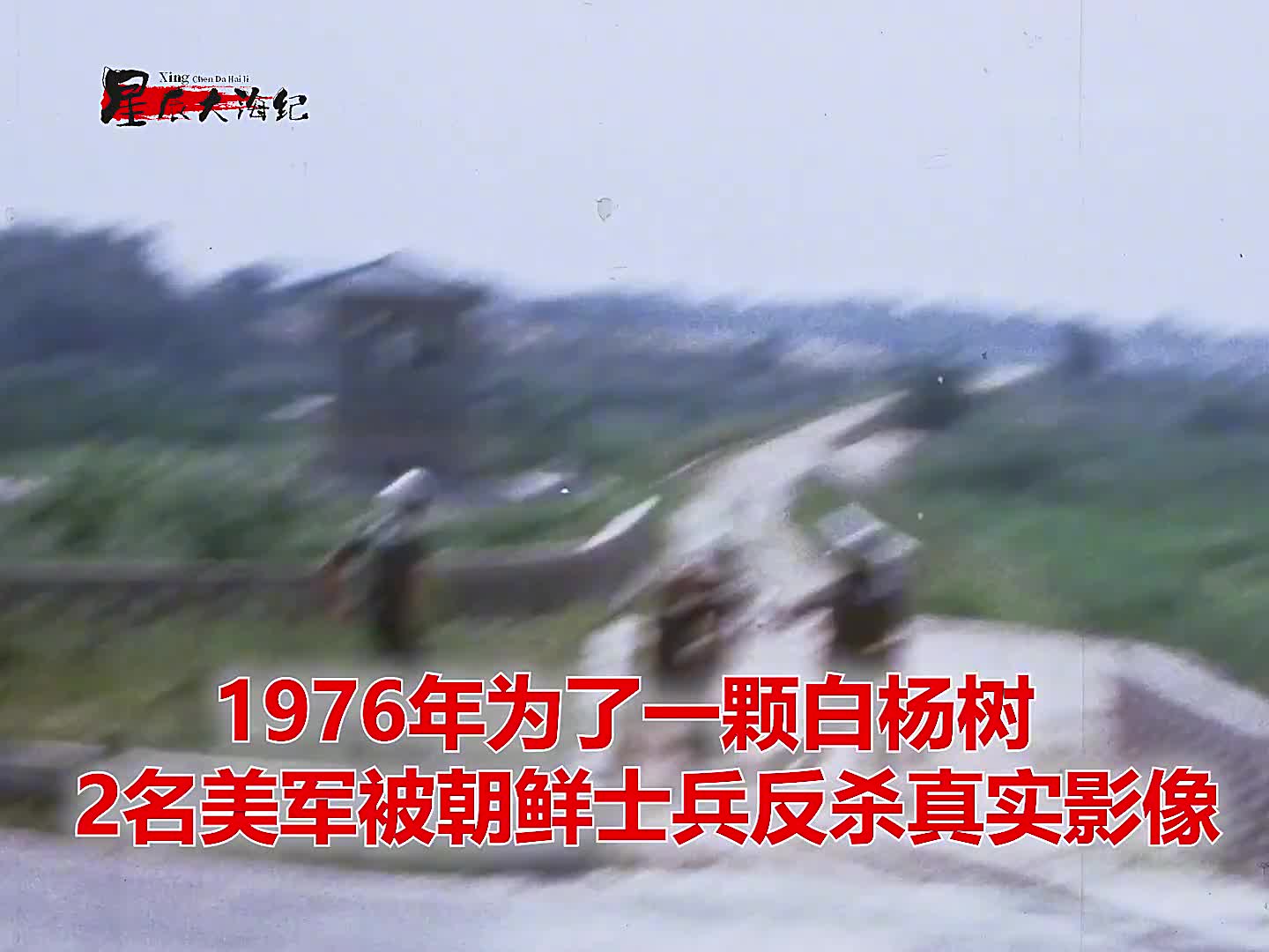 1976年为了一棵白杨树2名美军被朝鲜士兵反杀全过程影像1976年为了一棵白杨树2名美军被朝鲜士兵反杀全过程影像