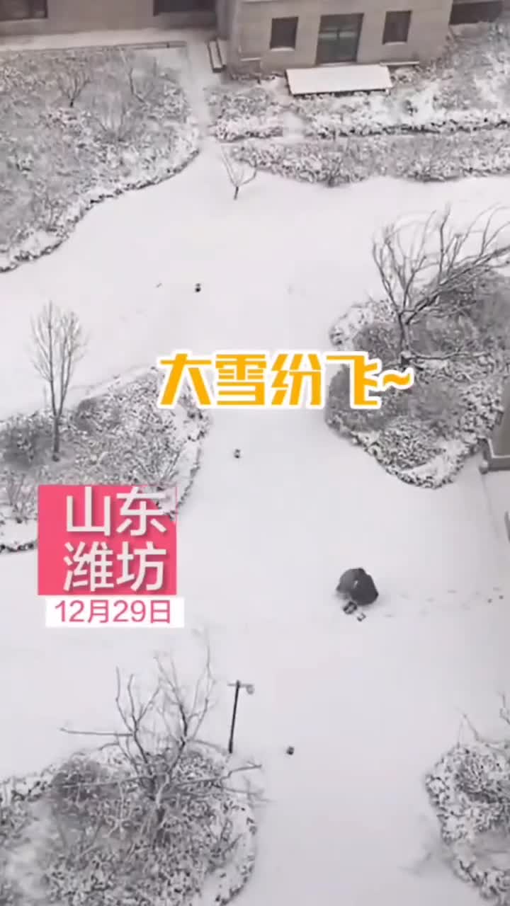 生病的小朋友想堆雪人爸爸装一箱子雪回家