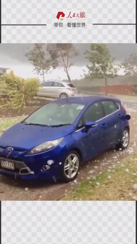 澳大利亚昆士兰州网友拍摄到的家门口的