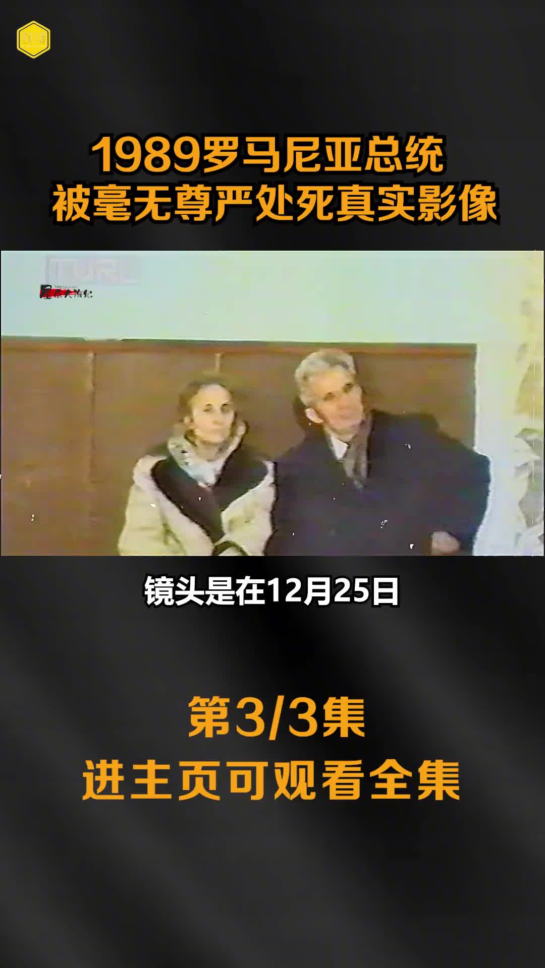 1989年罗马尼亚总统被乱枪扫射而死真实影像从暴乱到被处死仅仅5天时间