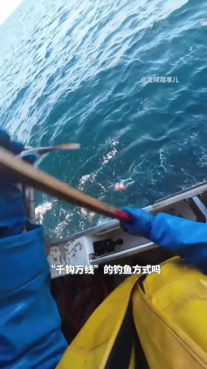 不可思议的千钩万线钓鱼方式延绳钓竟能轻松捕获数成千上万条大鱼