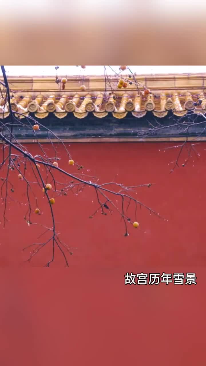 秋刚过冬就来下雪啦回顾故宫历年雪景一起期待明天