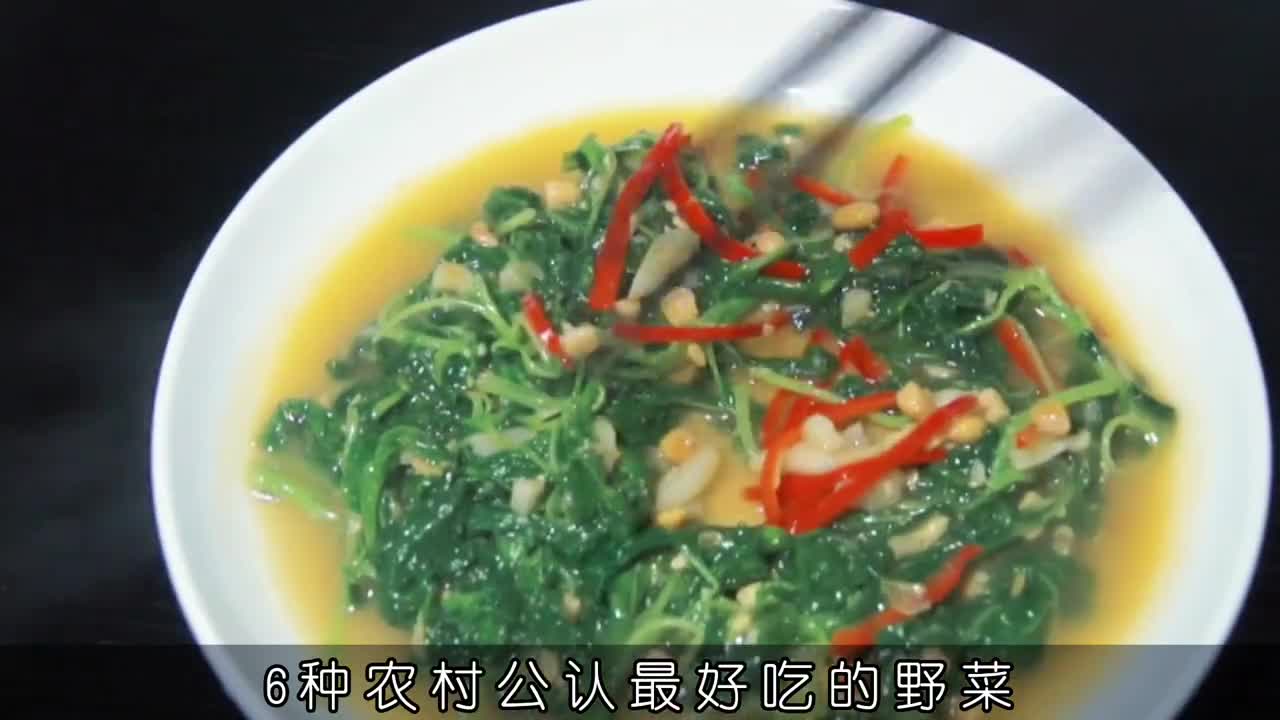 农村好吃的6种野菜你吃过几种