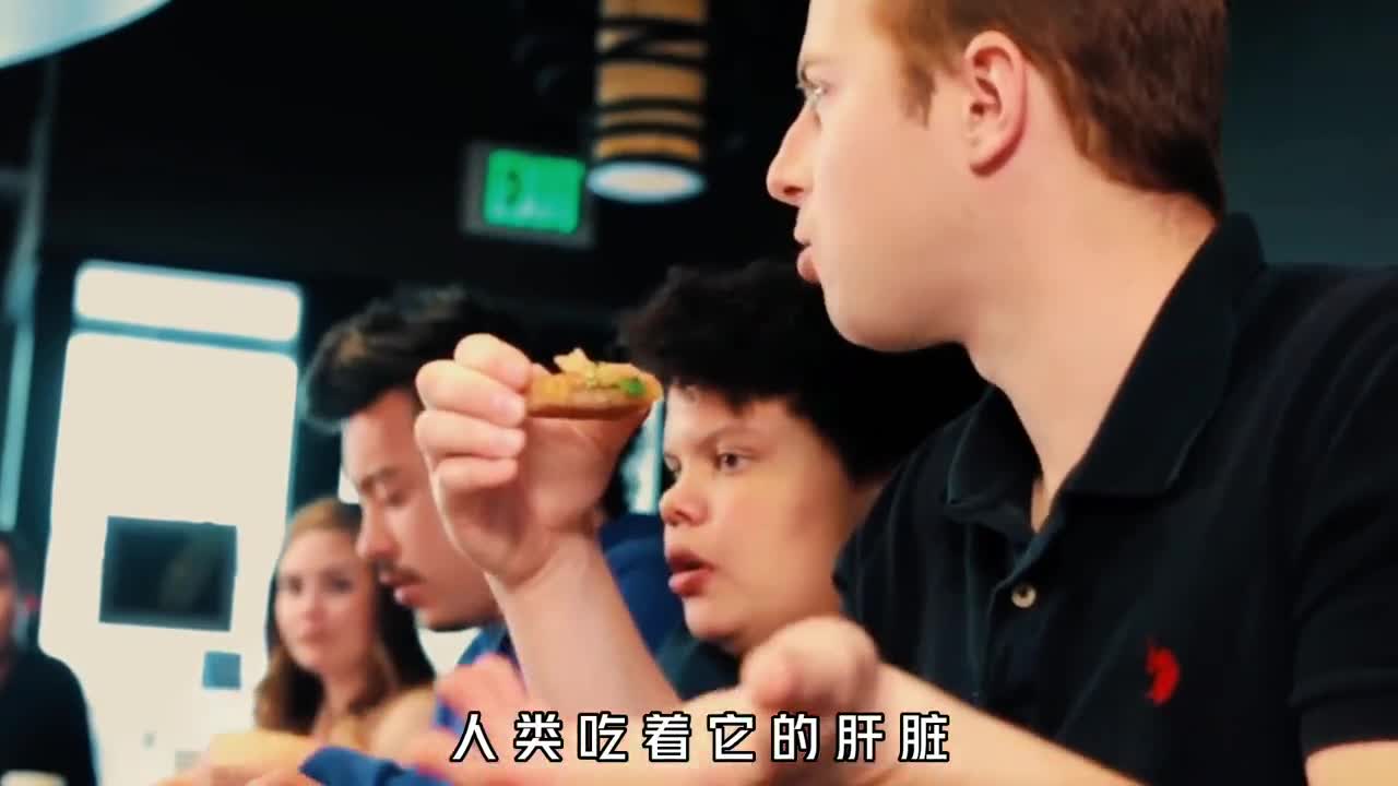 世界上最残忍的美食鹅肝从出生到死亡它们将受到巨大的痛苦