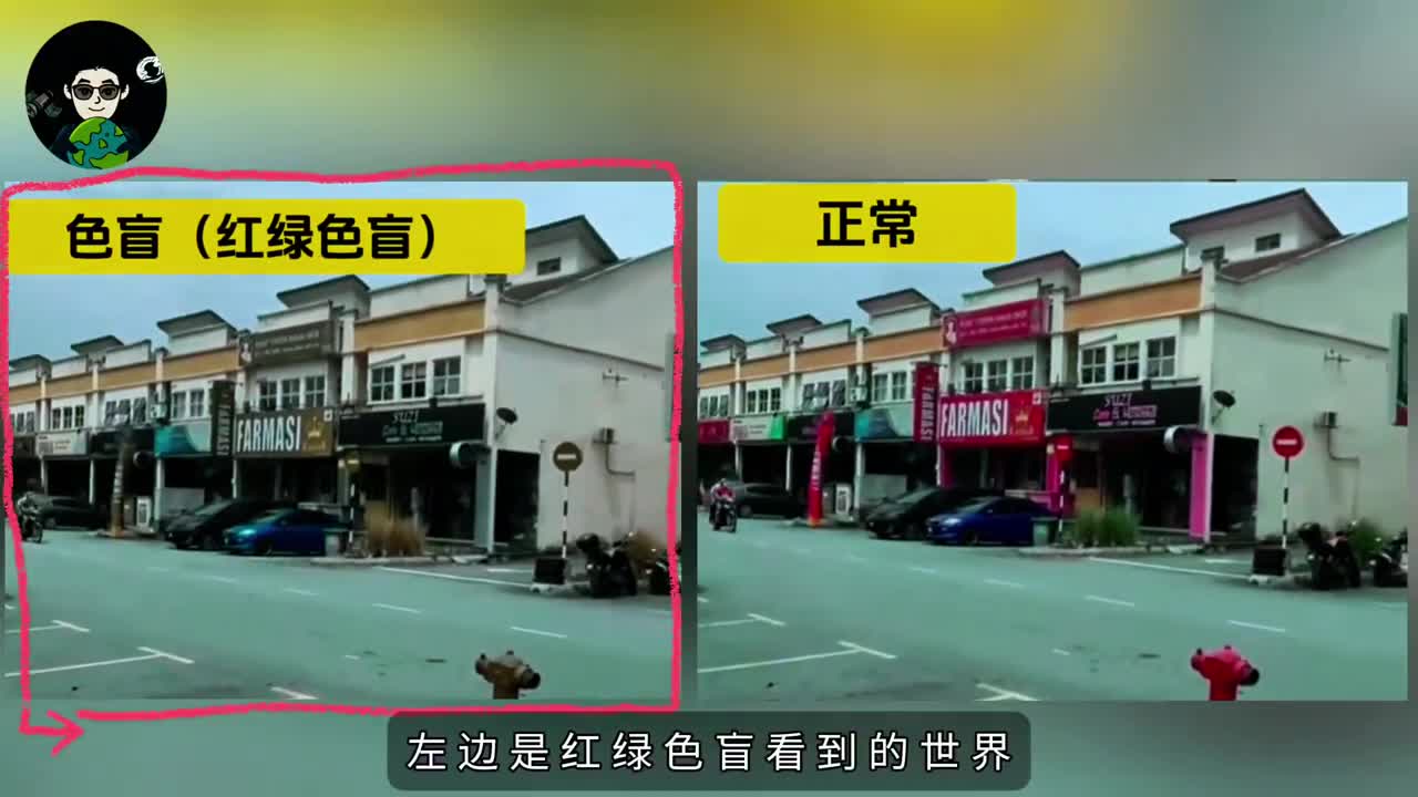 红绿色盲与正常人看到的世界对比