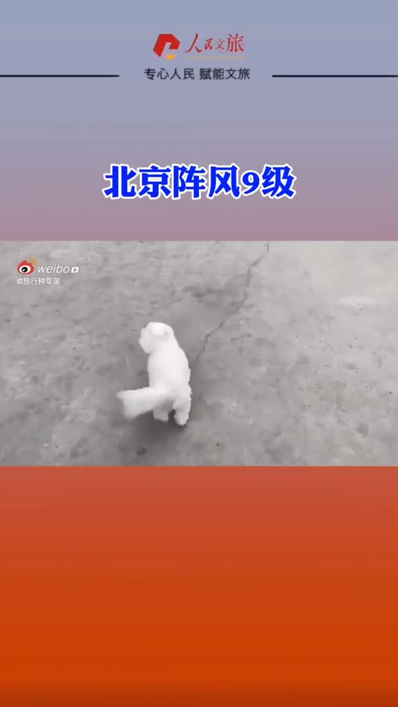 北京阵风9级转发提醒注意安全