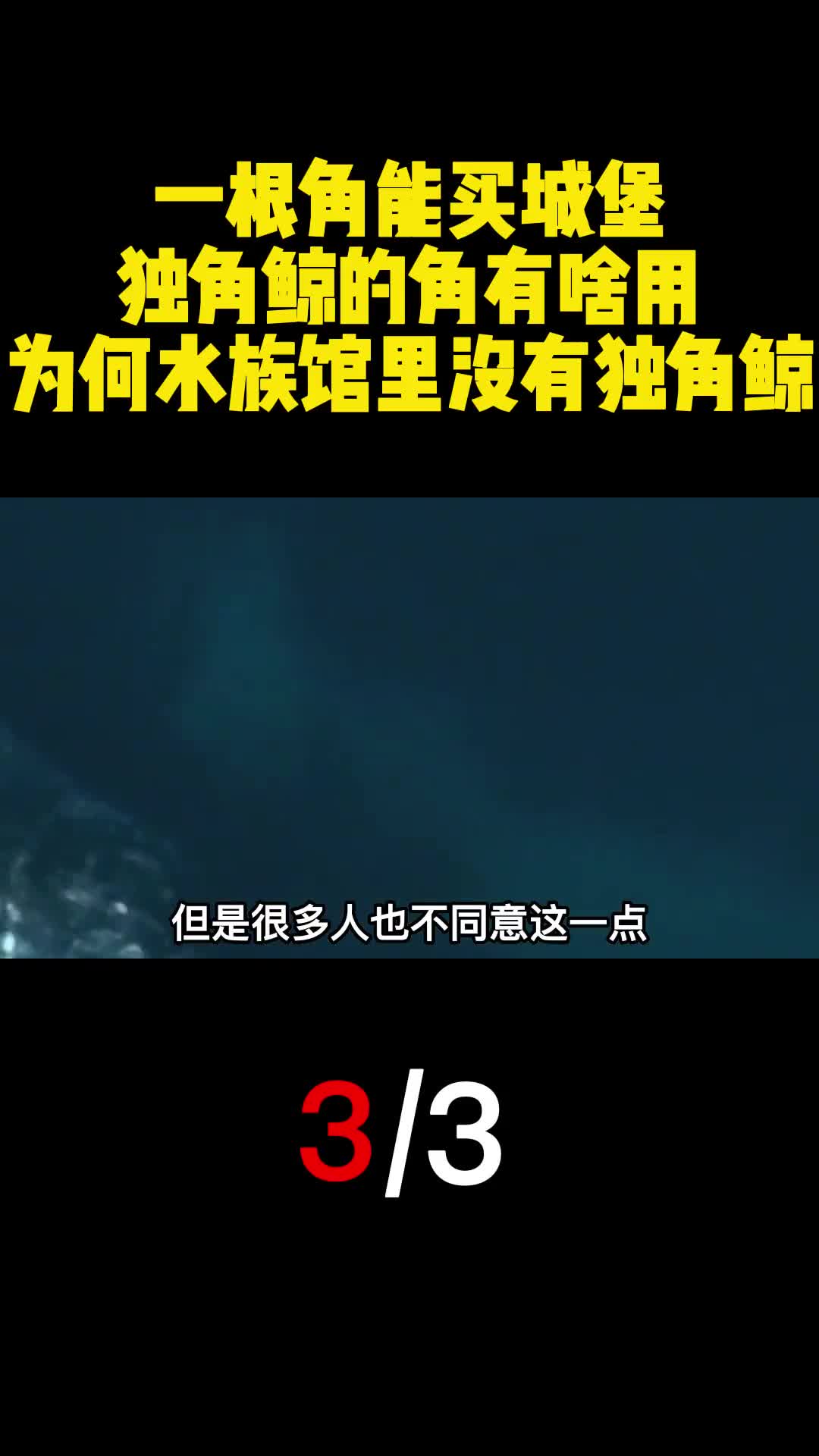 一根角能买城堡独角鲸的角有啥用为何水族馆里没有独角鲸3