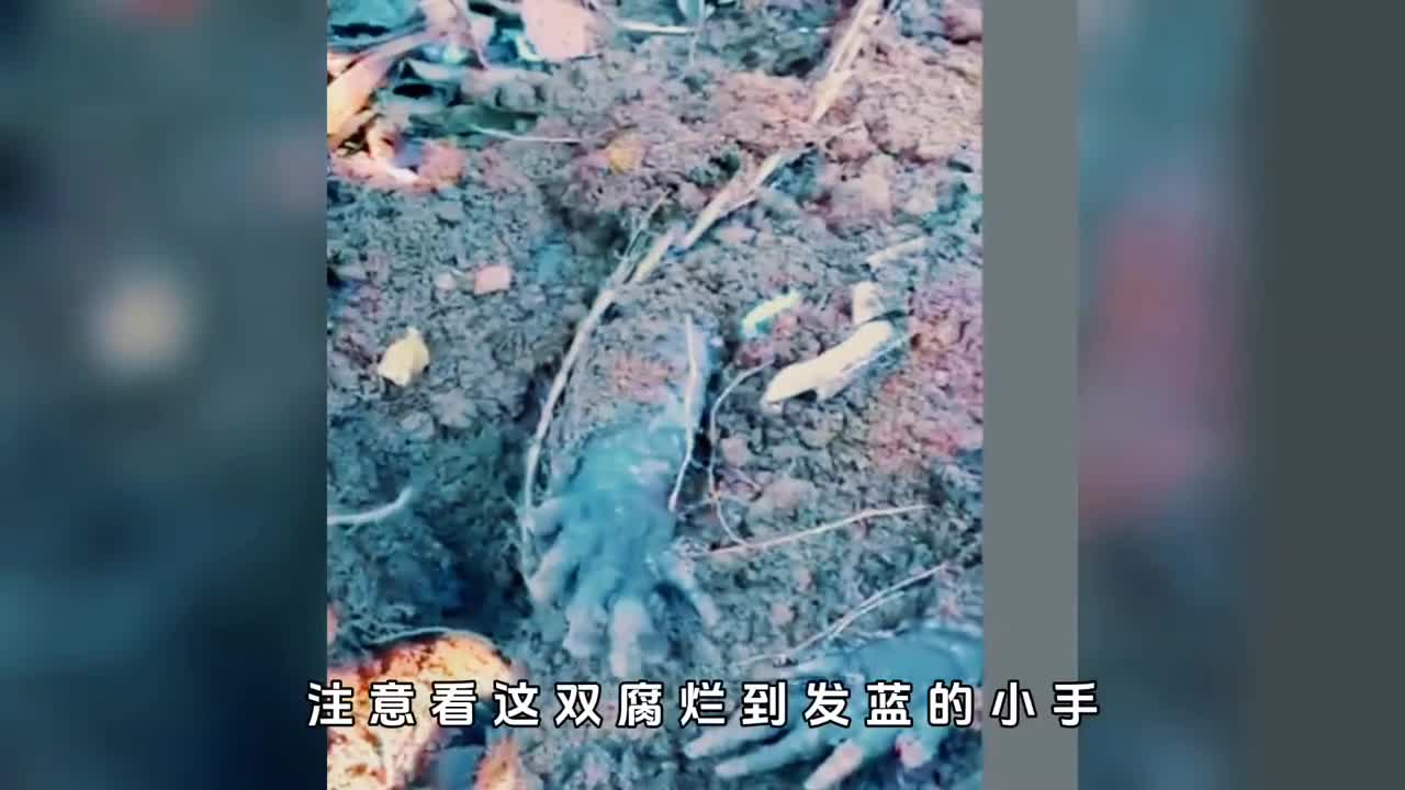 土中发现一双腐烂的小手这竟然是正睡懒觉的犰狳的爪子