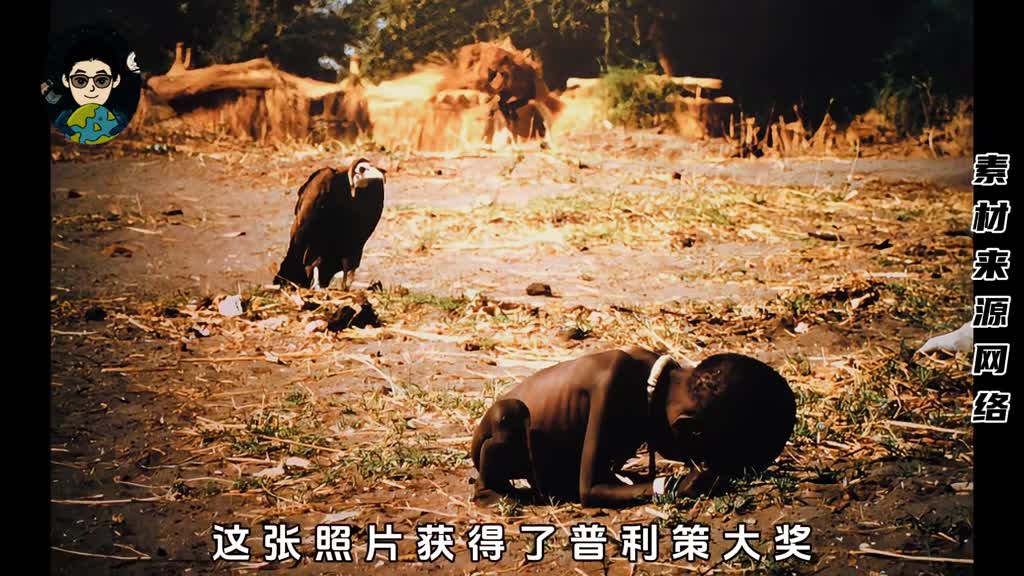 被秃鹫盯着的女孩结局非常悲惨