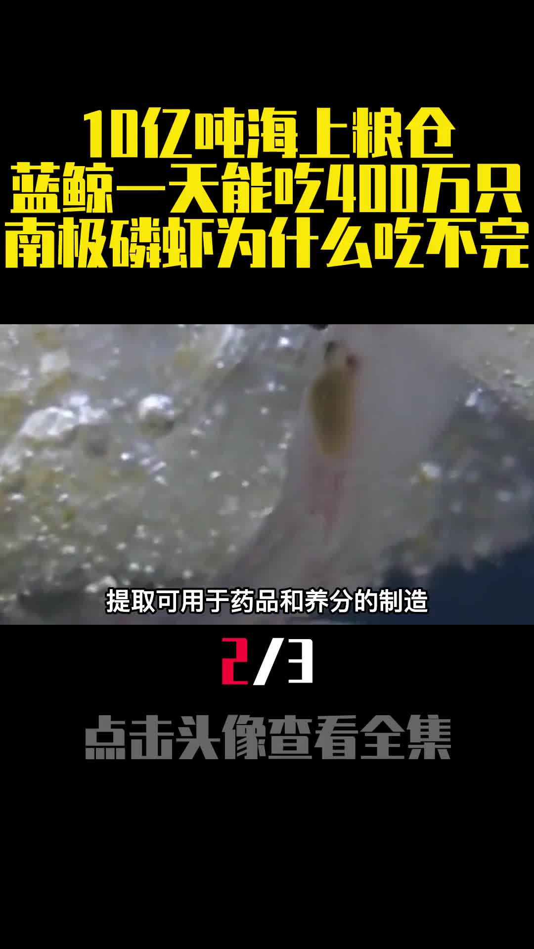 10亿吨海上粮仓蓝鲸一天能吃400万只南极磷虾为什么吃不完2