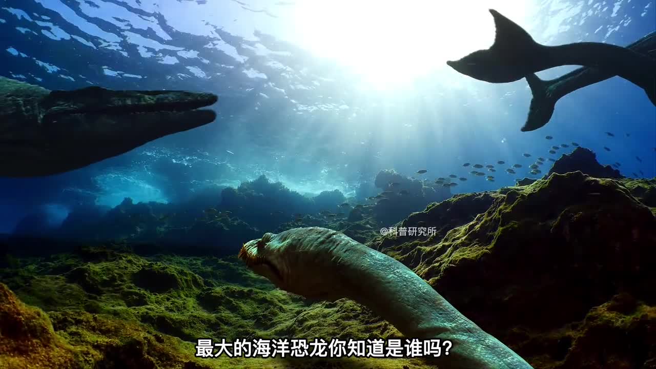 十大海洋恐龙苍龙也只是第2大最后的你没见过一