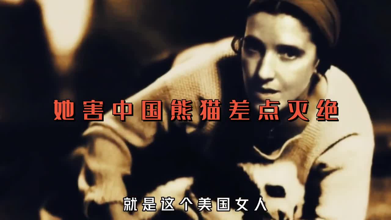 为什么一个女人差点中国熊猫灭绝