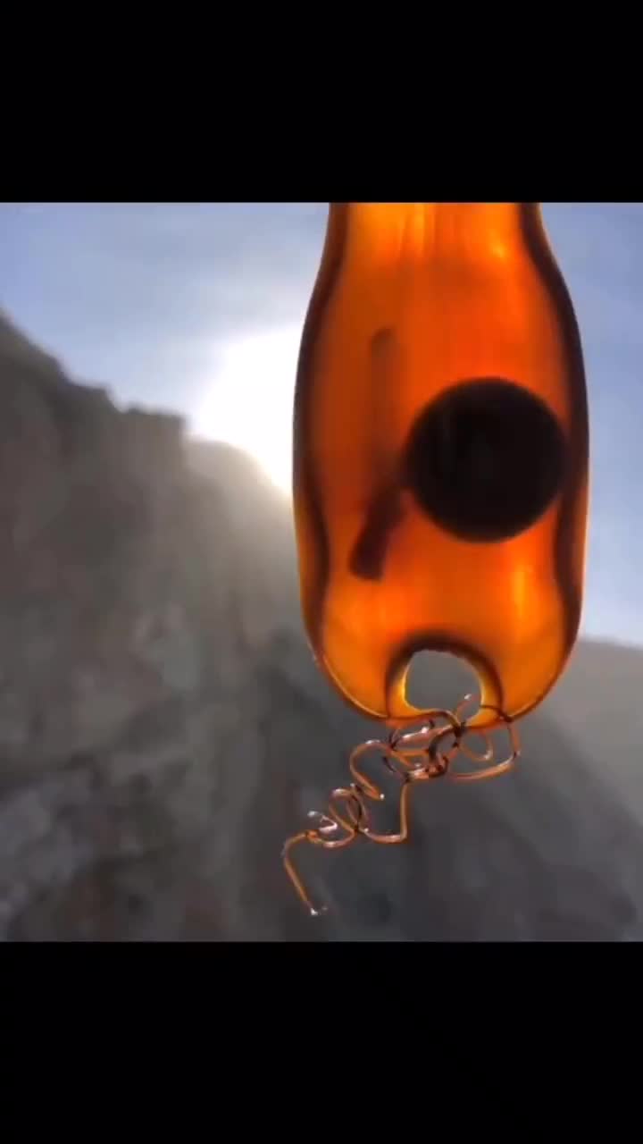 还没出生的小鲨鱼原来是这样的美国一对母子在海边玩时发现了这个鲨鱼卵透过阳光能看到里面会动的小鲨鱼