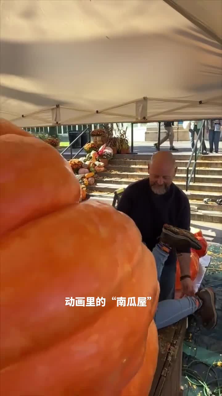 巨型南瓜屋原来真的存在一颗南瓜竟大到能装人