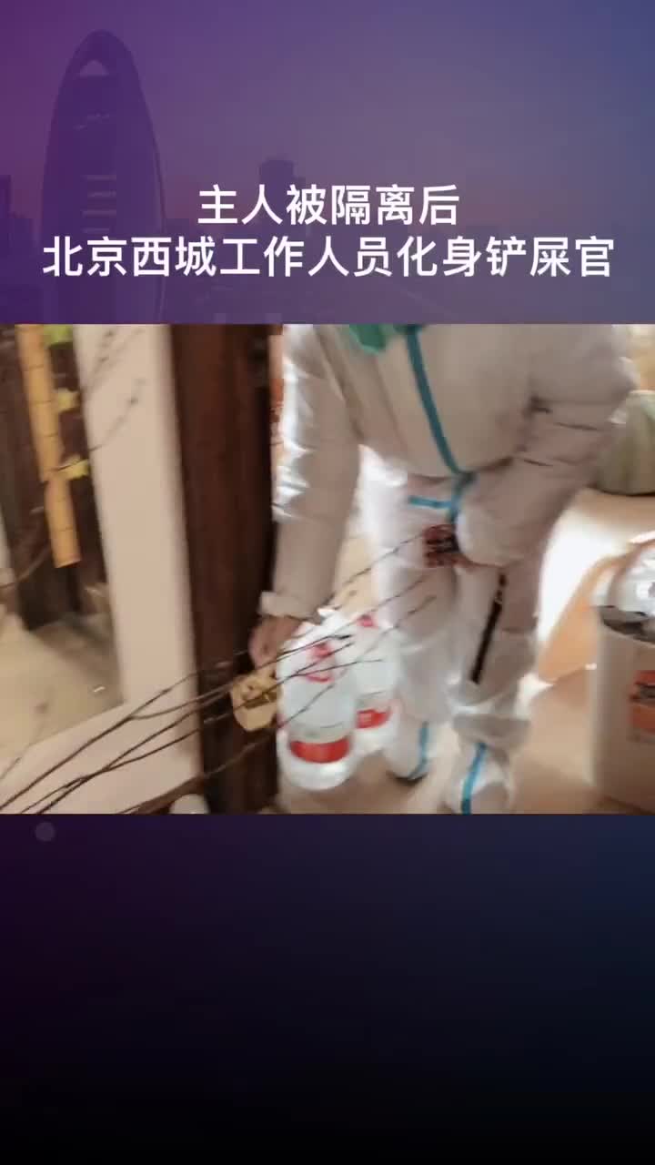 超有爱主人被集中隔离2只猫咪无人喂养北京西城疫情工作人员化身铲屎官上门喂养安抚