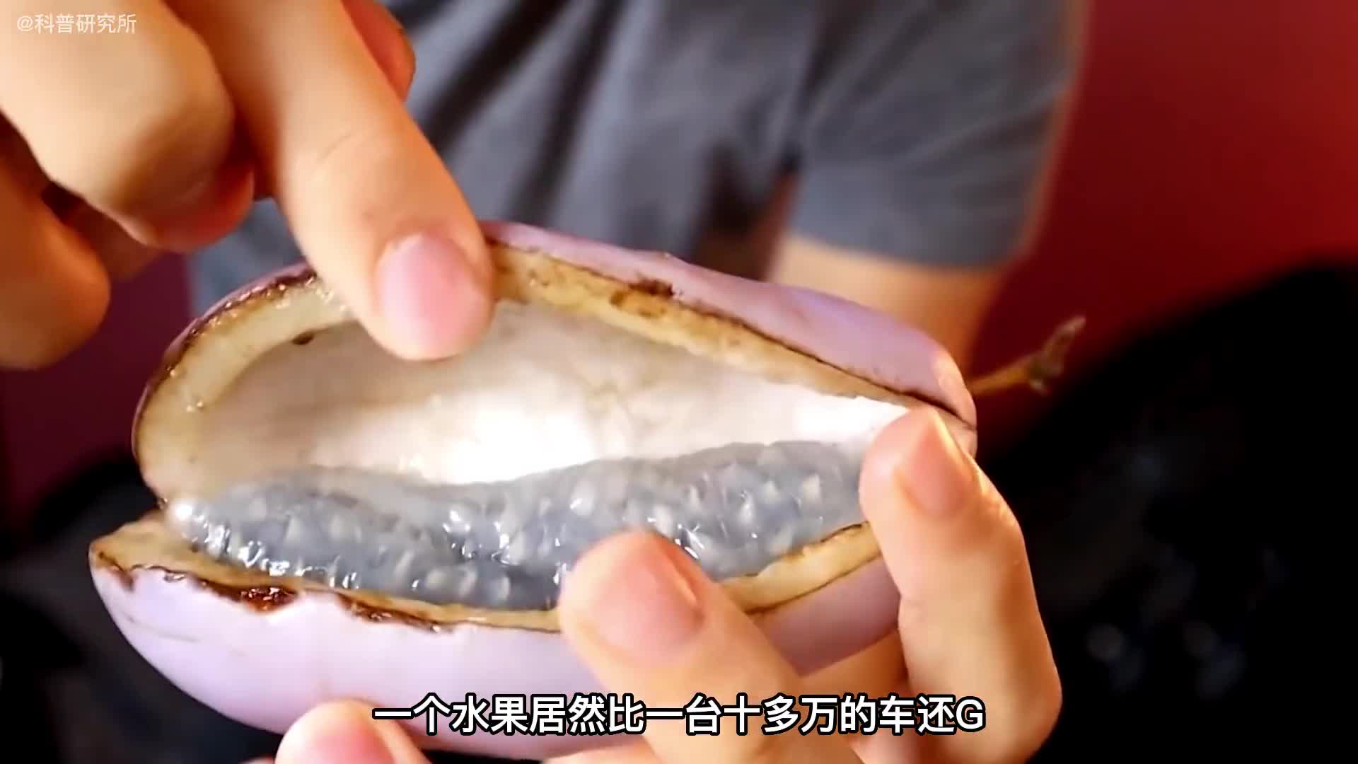 一个水果就10多个W你敢吃吗全球最贵的6种水果你吃过几个一