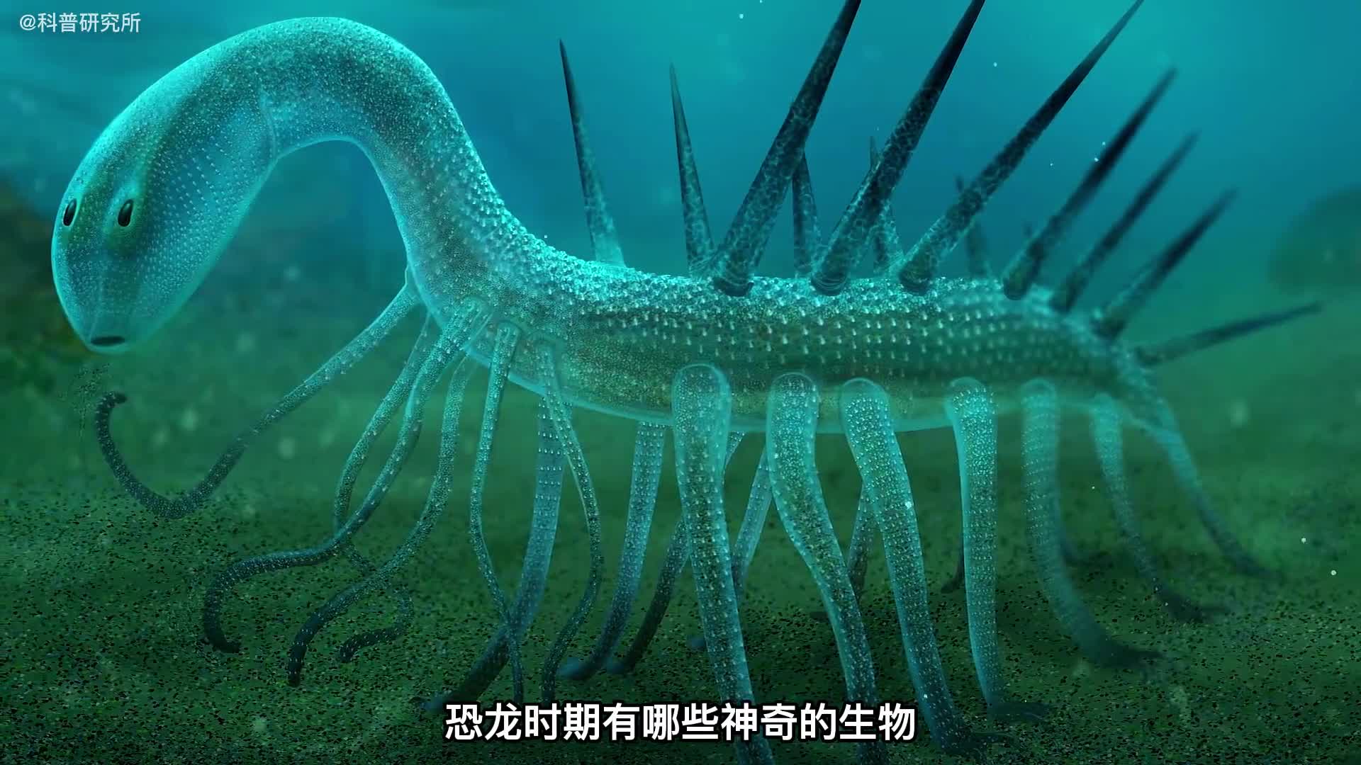 恐龙时期的七大神奇生物最后一个会让人感到恐惧一