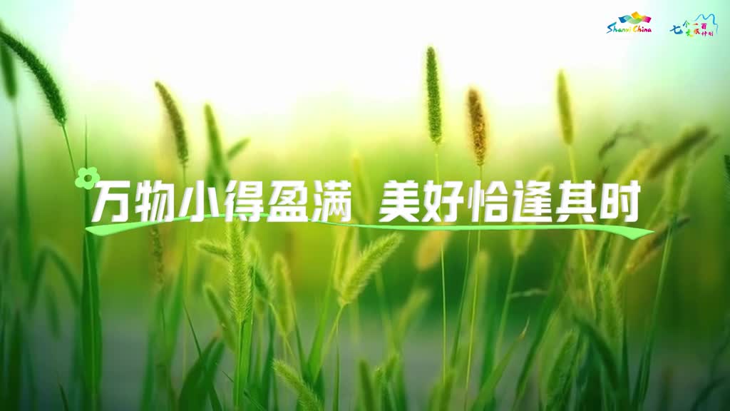 小得盈满终胜万全当小满遇到520愿你幸福美满知足而丰盈