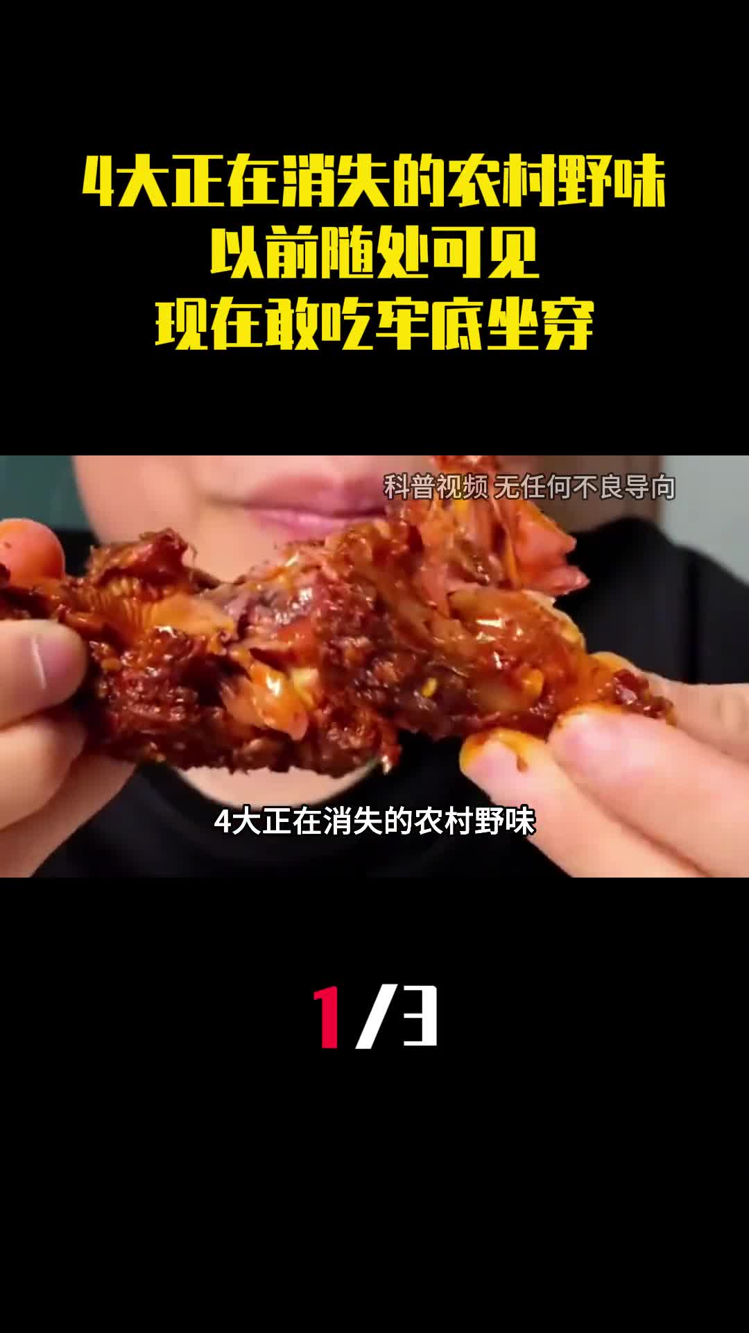 4大正在消失的农村野味以前随处可见现在敢吃牢底坐穿1
