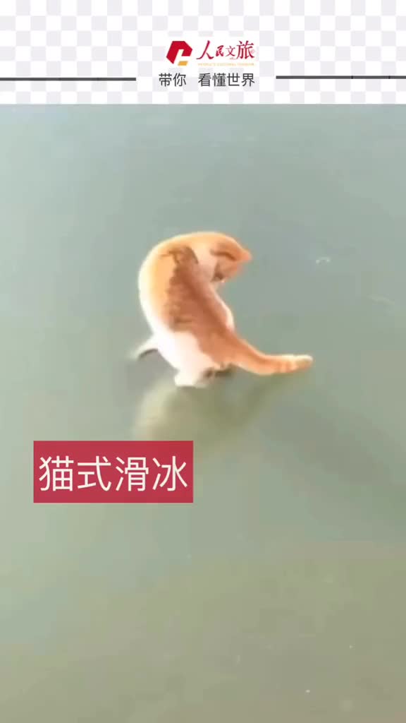 你有没有为一条鱼拼过命