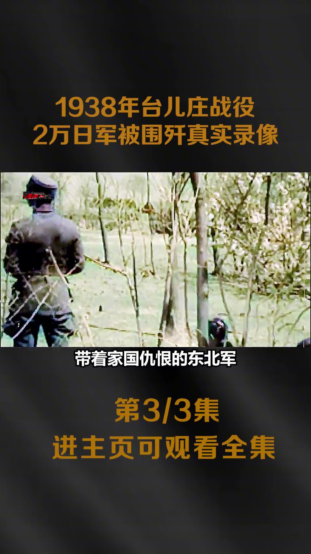 1938年台儿庄战役真实录像嫡系汤恩伯部精锐出动1938年台儿庄战役真实录像嫡系汤恩伯部精锐出动2万日军被围歼
