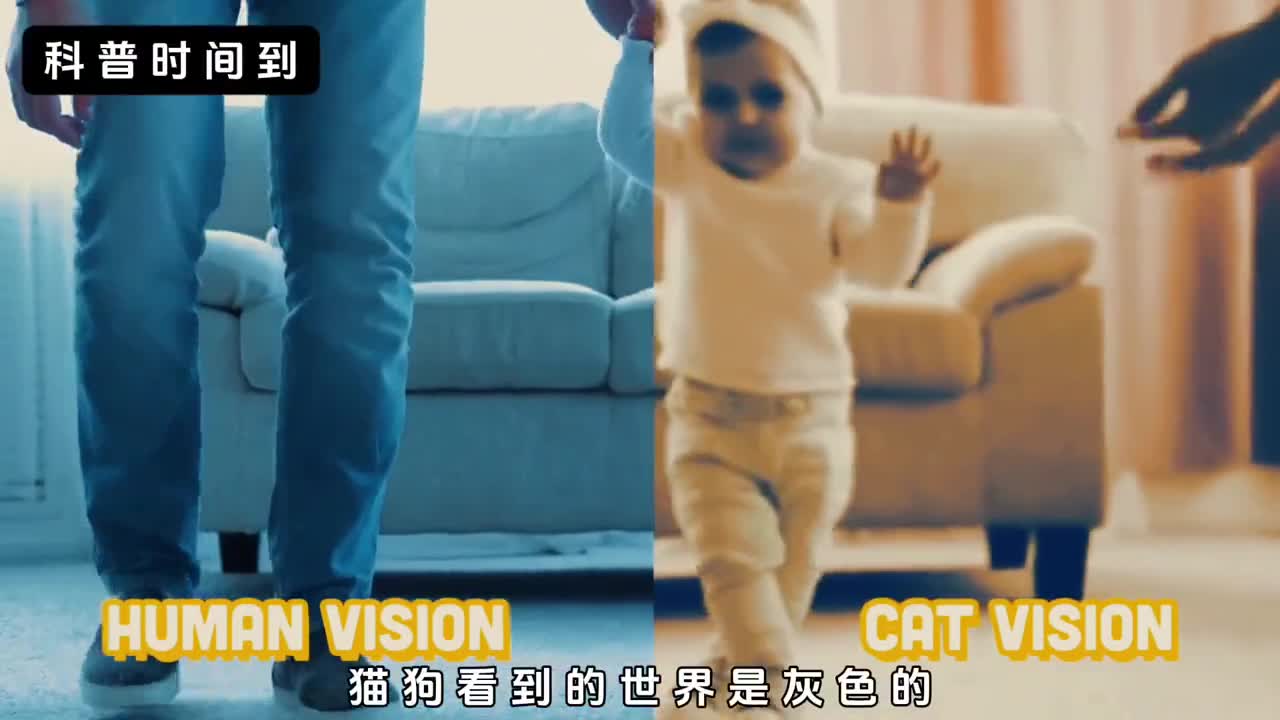 有没有一种可能我们的眼睛一直在欺骗我们