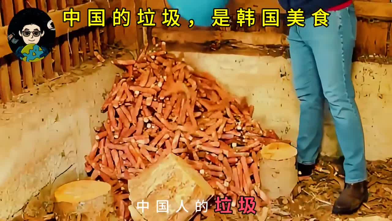 中国人的垃圾却是韩国人的美食