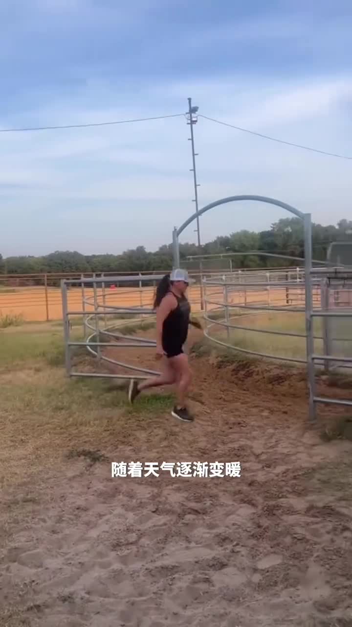 旋转中的训练马匹的健身房遛马机