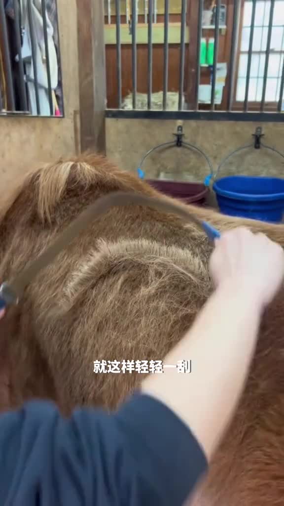 这样刮毛也太解压了吧