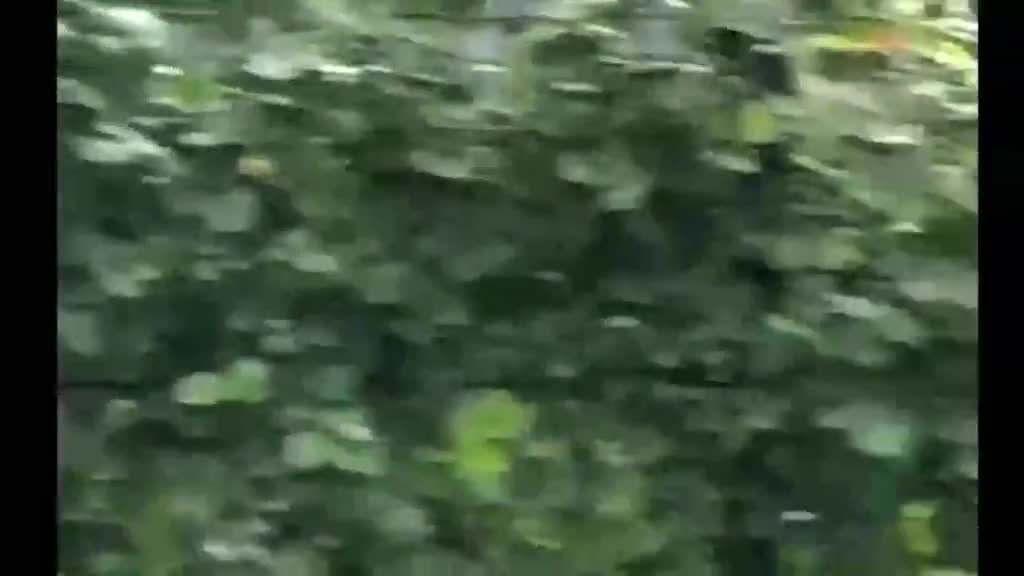 我慢慢明白了为什么我不快乐因为我总是期待一个结果