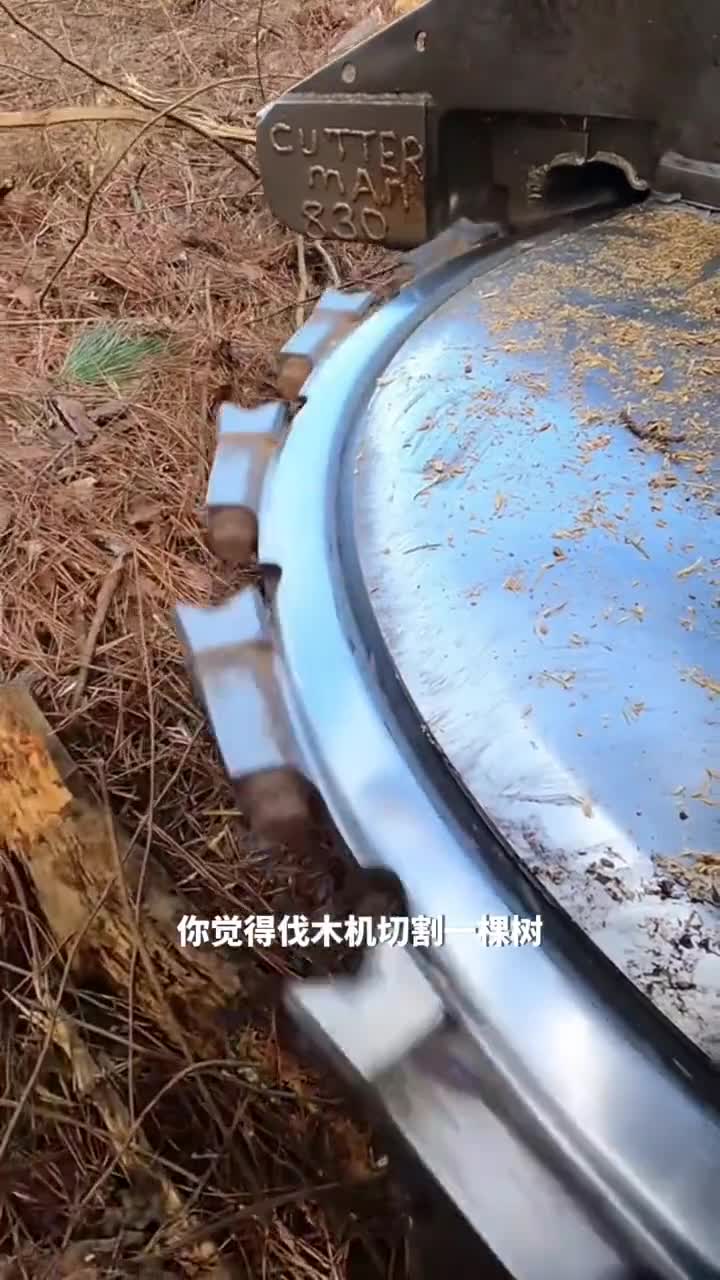 光头强看了都怕伐木机究竟有多猛