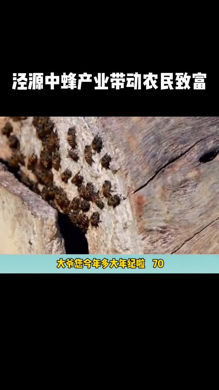 跟70岁老爷爷一起去看看养殖泾源蜂蜜的致富路