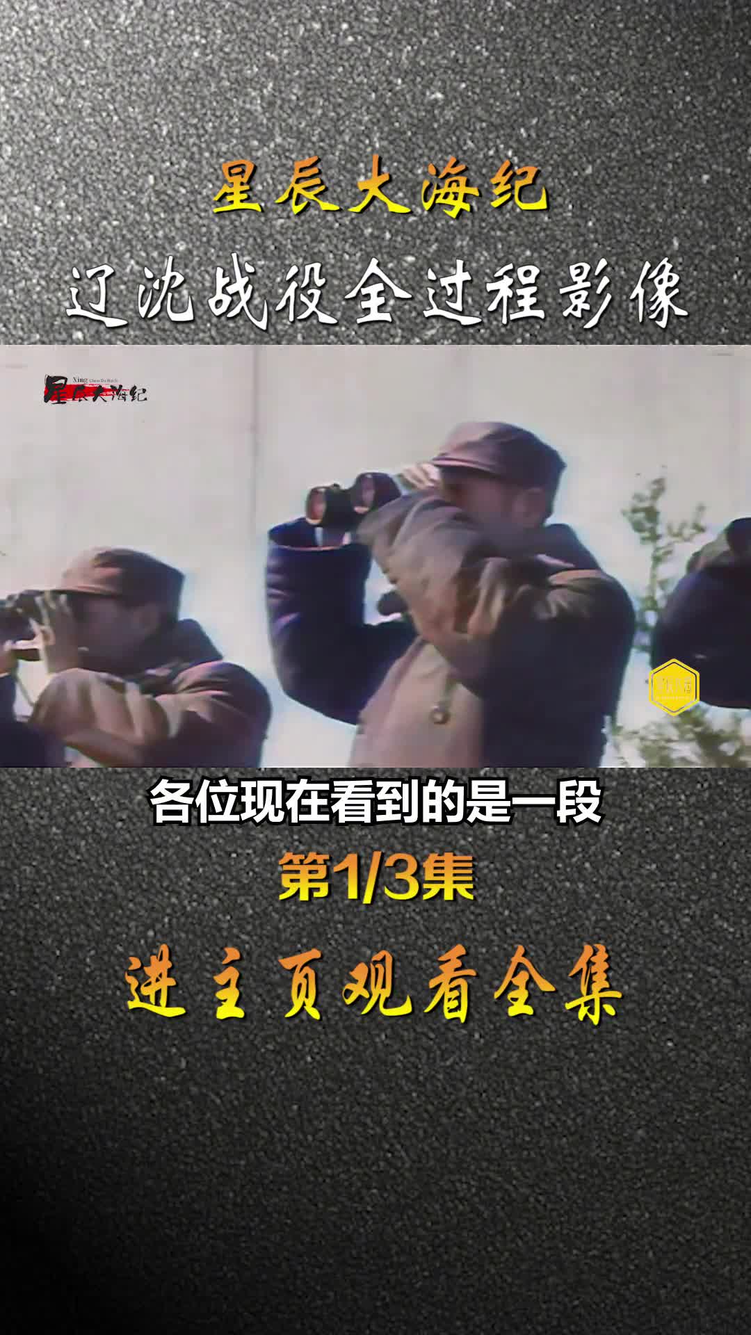 1948年辽沈战役全过程录像国民党一众将领被俘虏