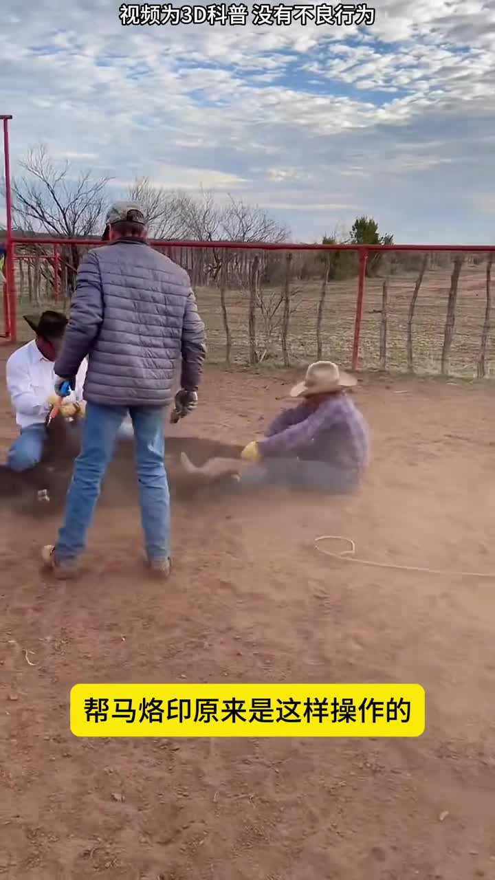 帮马烙印原来是这样操作的