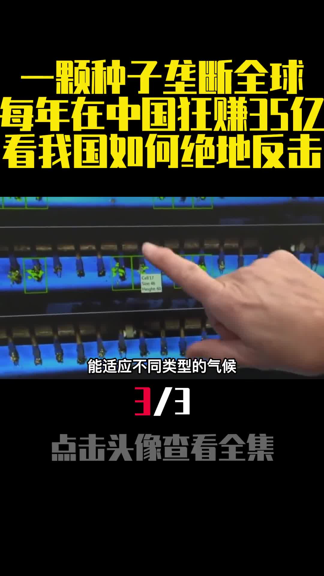 一颗种子垄断全球每年在中国狂赚35亿看我国如何绝地反击3