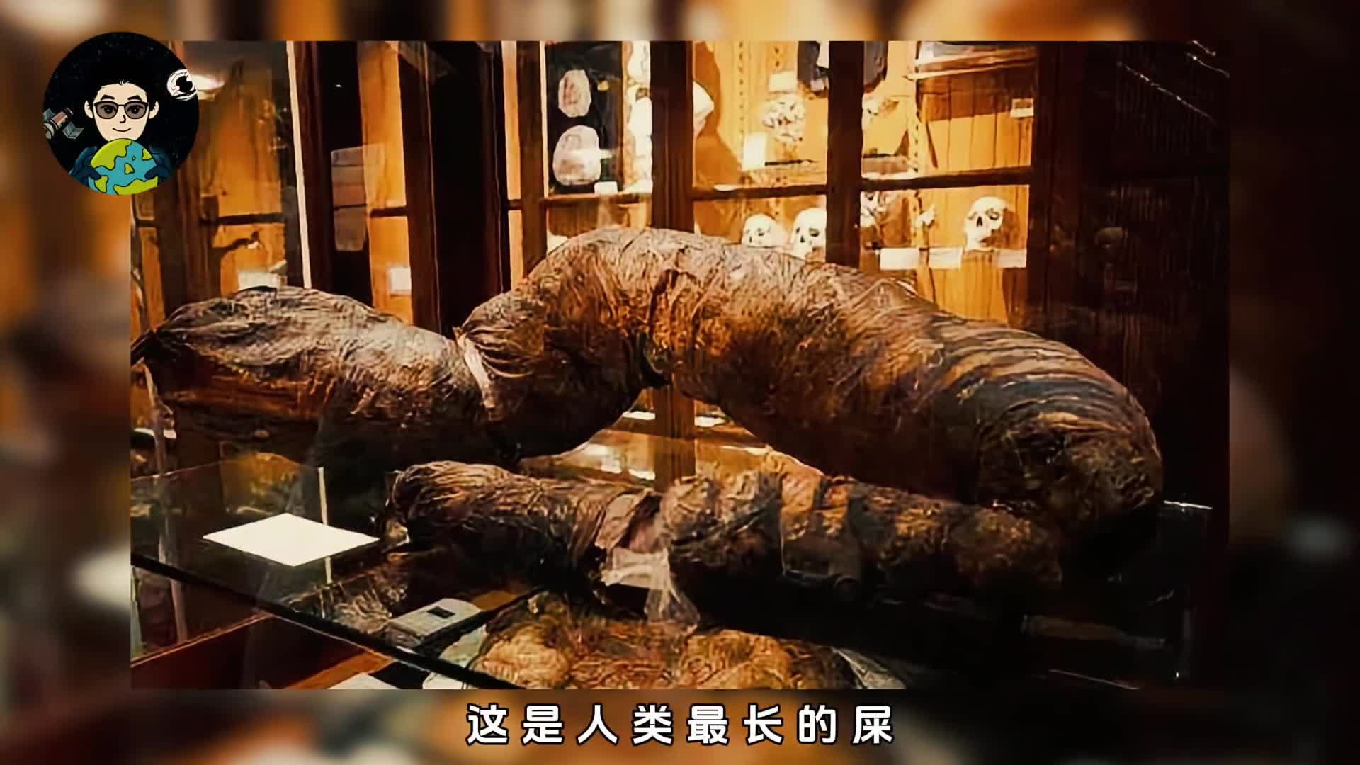 人类最长的屎长24米比姚明还高